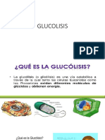 Clase 10 Glucolisis