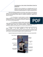 Práctica Pto. Inflamación PMCC.pdf