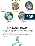 Replicación ADN Monse