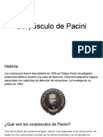 Corpúsculo de Pacini