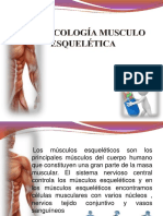 Farmacologia Musculoesqueletica