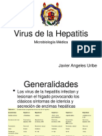 VIRUS HEPATITIS