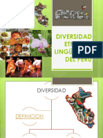 Diversidad Etnica y Linguistica...