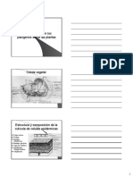 15-Forma-que-actuan-los-patogenos.pdf