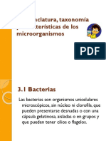 Bacterias Taxonomia
