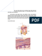 85055603-Anatomi-Dan-Fisiologi-Kulit.docx