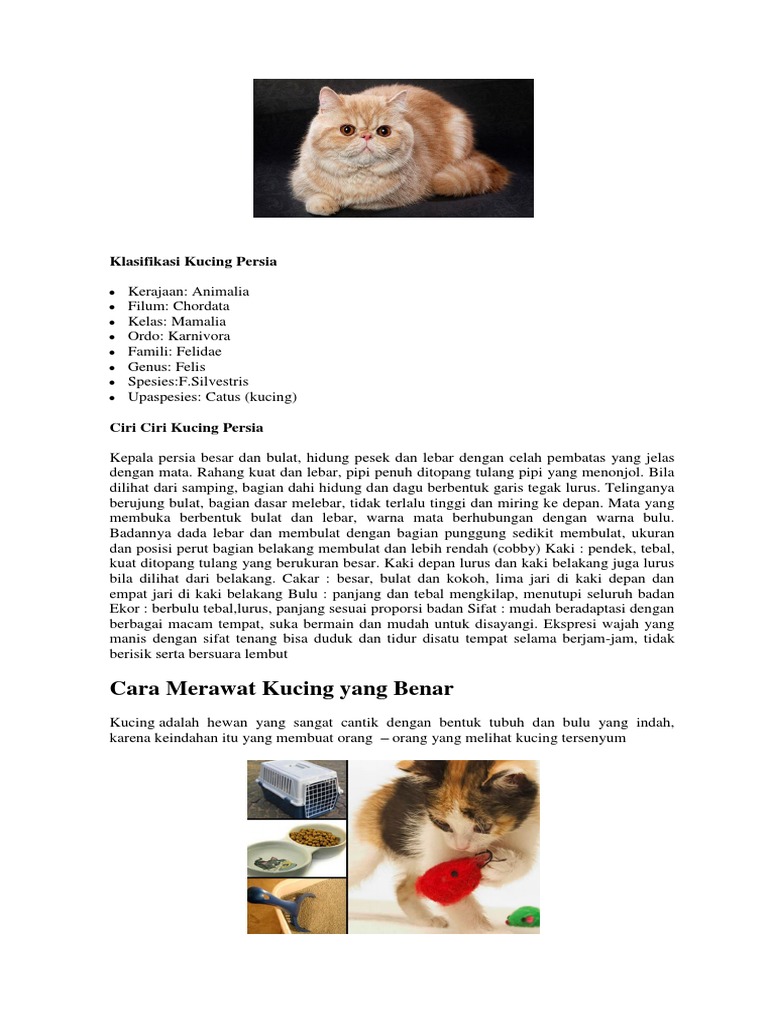 Kucing  PDF