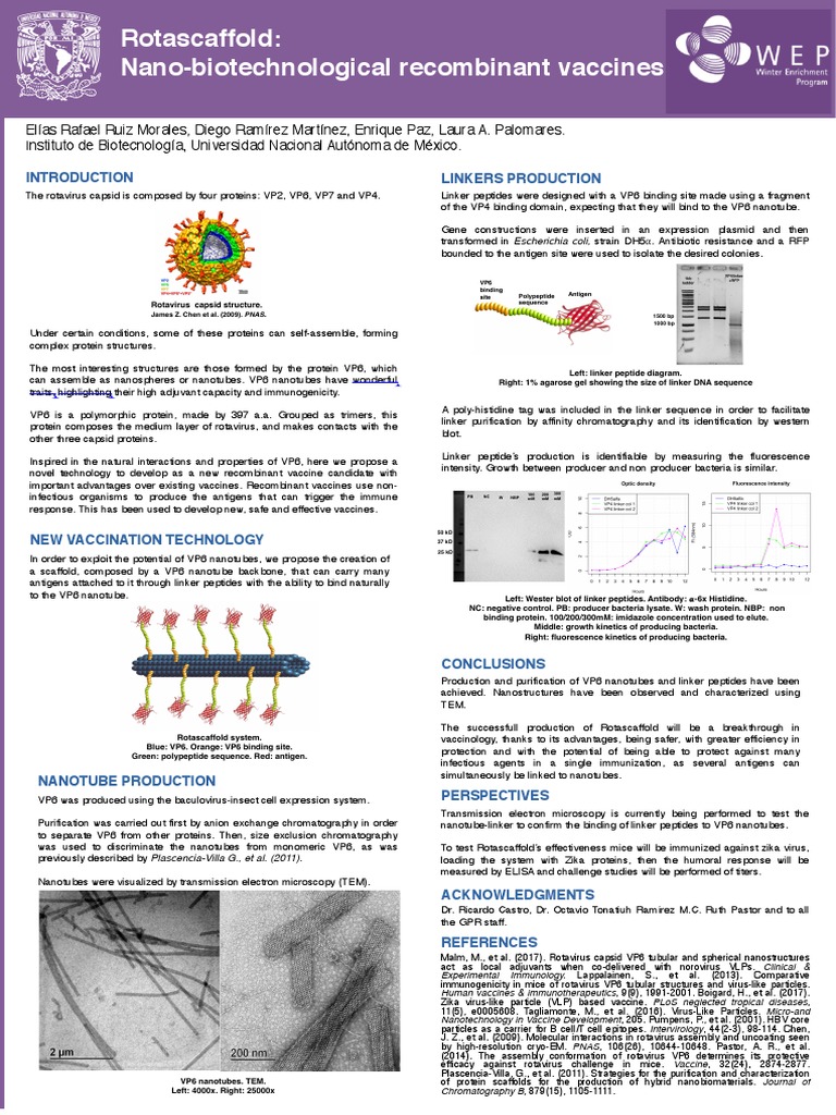 Rotascaffold: Novel Rotavirus Vaccine System | PDF | Vaccines | Antigen
