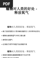 Ukuran Wau Kucing  PDF