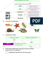 Match Each Vertebrate With Its Characteristics.: Birds Fish