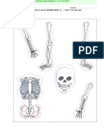 Cut Out The Skeleton and Assemble It. Then Circle All The Joints