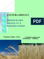 Cultura orzului
