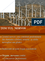 Tesut Nervos