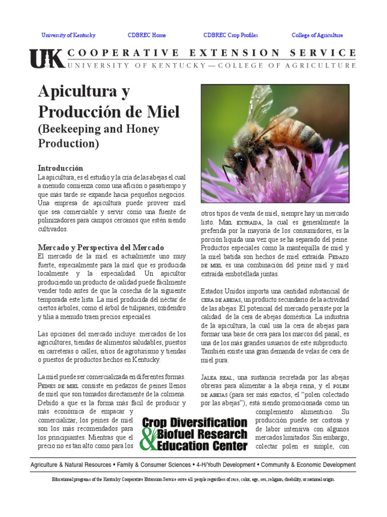 Proceso Productivo de la Miel | PDF | Apicultura | Miel