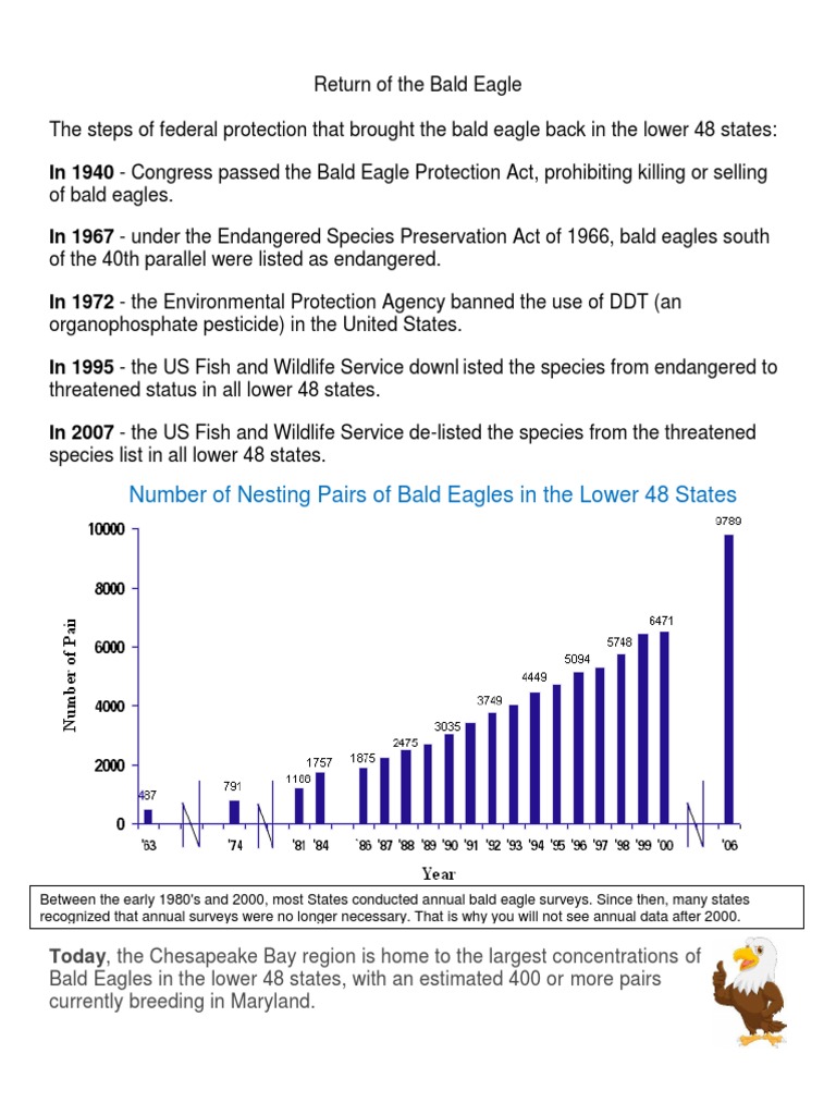 Return of The Bald Eagle Fact Sheet | PDF