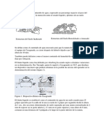 Metodos Alternativos de Plasticidad