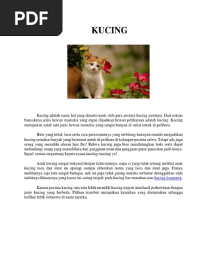 KUCING  PDF