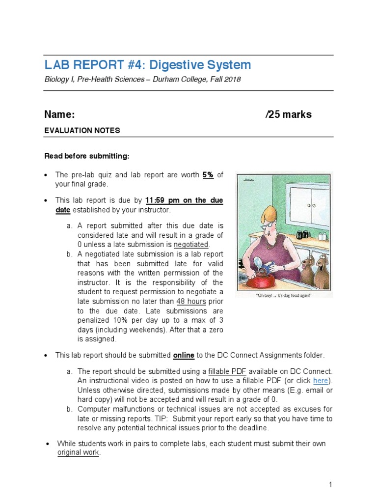Digestive system essay questions image