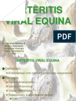 Arteritis Viral Equina