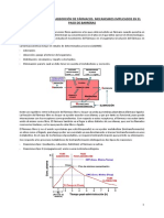 Absorción de fármacos. Mecanismos implicados en el paso de barreras