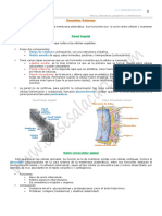 09-no-membranosos-2-bach.pdf