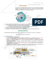 10 Nucleo Division 2 Bach PDF