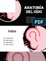 Anatomia Del Oido