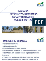 Macaúba - Características e Produção de Óleo (Modo de Compatibilidade)