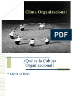 Cultura Organizacion