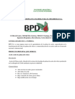 Informe Planta BPD