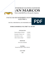 Energia Biodiesel en El Peru y El Mundo