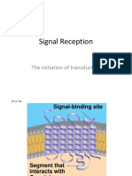signal reception  g proteins kinases 
