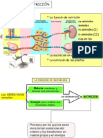 Ejercicios Factores Conversion-Hoja 1