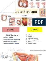 Acute Scrotum Guide