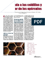 2005_Celdillas_panal_El_Colmenar.pdf