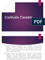 Contusio Cerebri