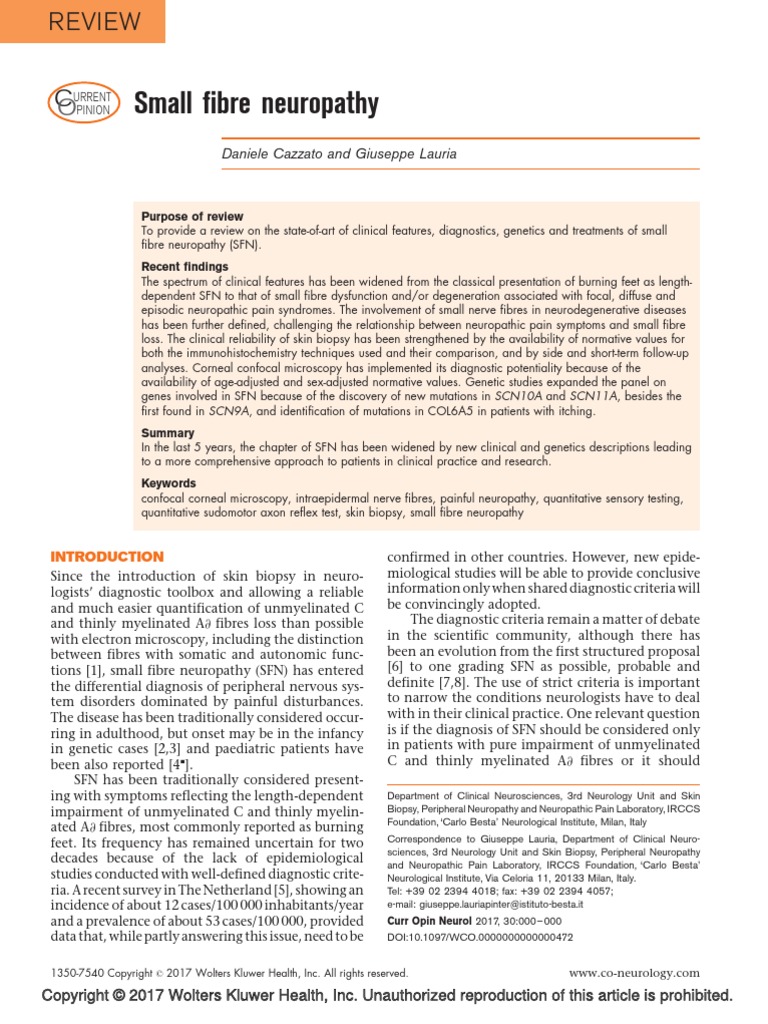 Small Fibre Neuropathy: Review | PDF | Peripheral Neuropathy | Medical ...