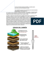 Origen Del Carbon