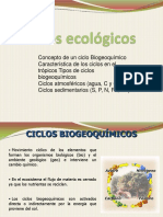 Clase_5_ciclos_ecologicos-mery.pdf