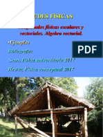 Magnitudes Fisicas PDF