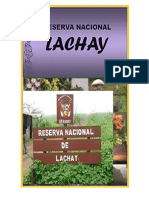 Lomas de Lachay