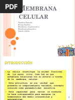 Membrana plasmatica 2018