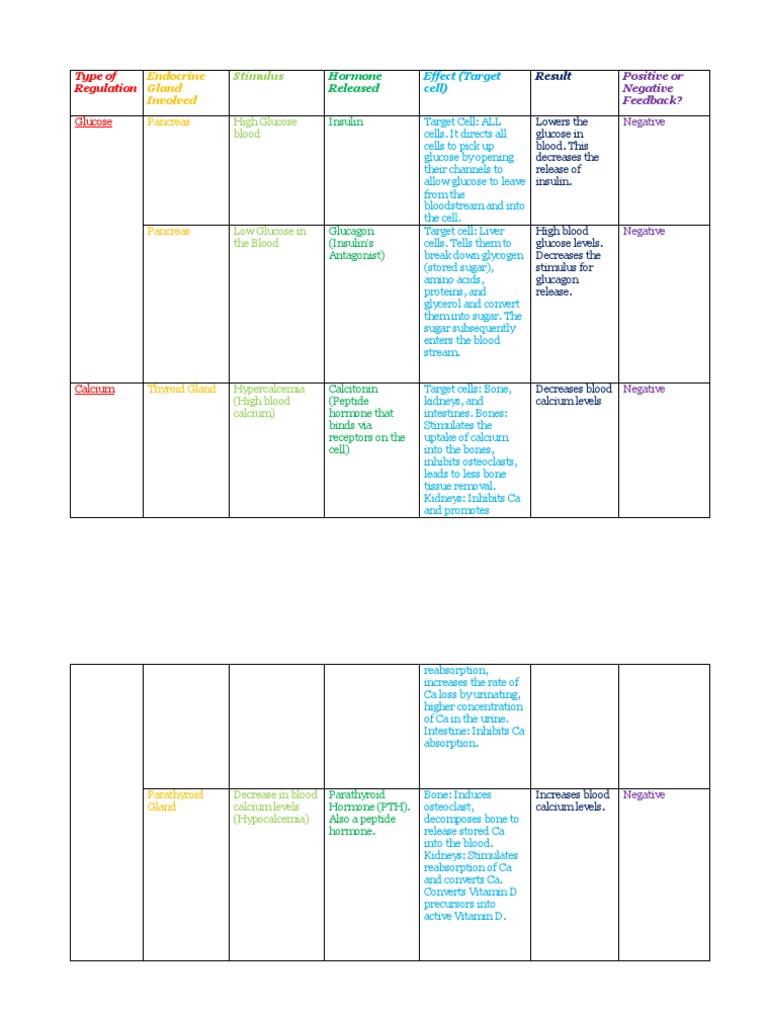 Antidiuretic Hormone Target Tissues | PDF | Adrenal Gland | Glucose