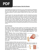 CONTOH PIAGAM PENGHARGAAN