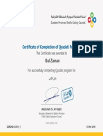 Gulzaman Qyadati Certificate PDF