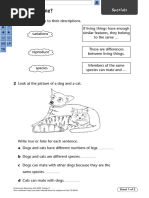 Unit 7D Variations and Classifications