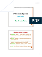 Petroleum System P1