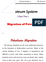 Petroleum System P2