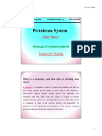 Petroleum System P3