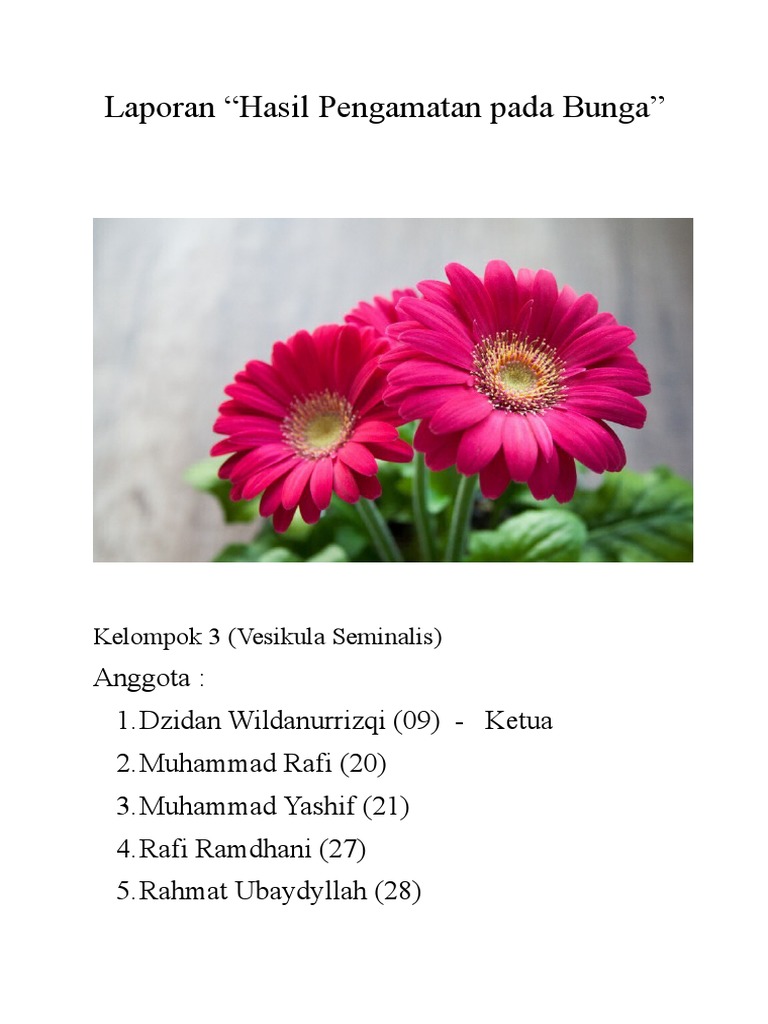 Laporan_Hasil_Pengamatan_pada_Bunga.doc